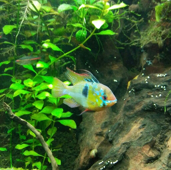 Meet your Posher, Megan - Picture 4 of 6